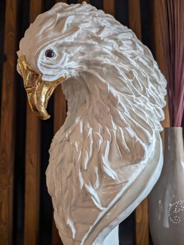 Thomas Nicaise Phoenix 04