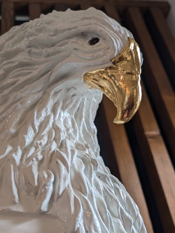 Thomas Nicaise Phoenix 11