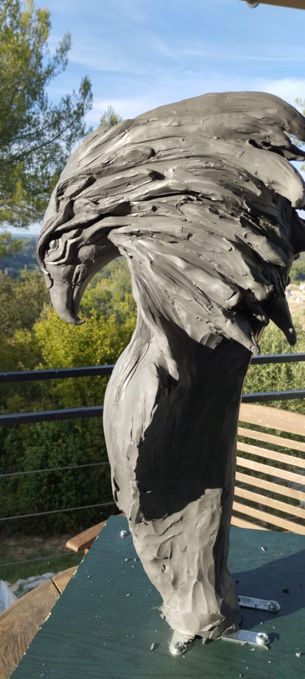 Thomas Nicaise Phoenix 12