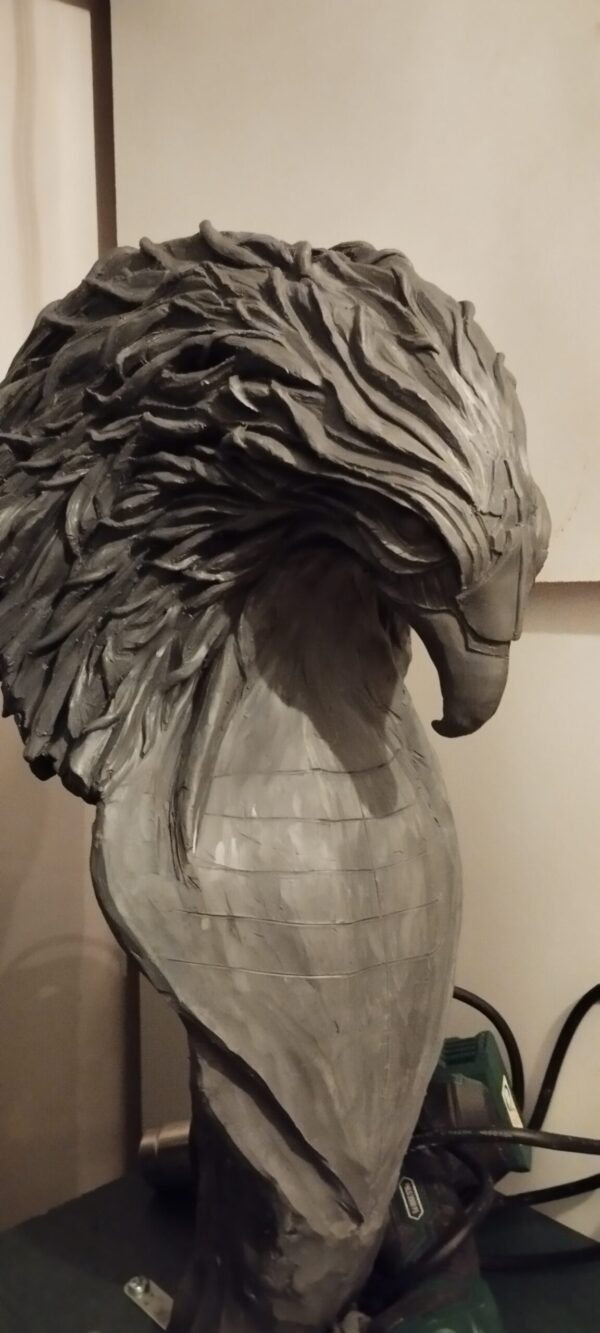 Thomas Nicaise Phoenix 13