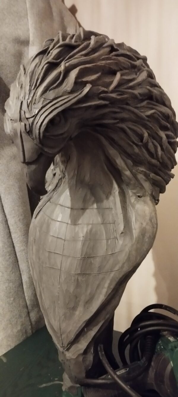 Thomas Nicaise Phoenix 14