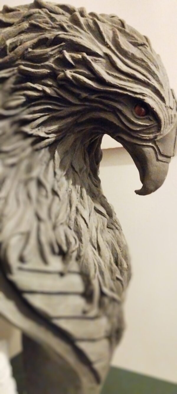 Thomas Nicaise Phoenix 17