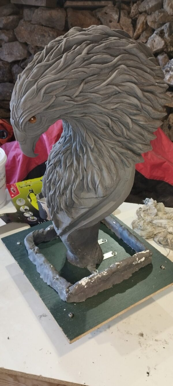 Thomas Nicaise Phoenix 18