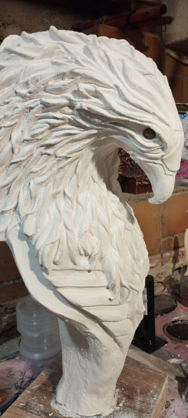 Thomas Nicaise Phoenix 19