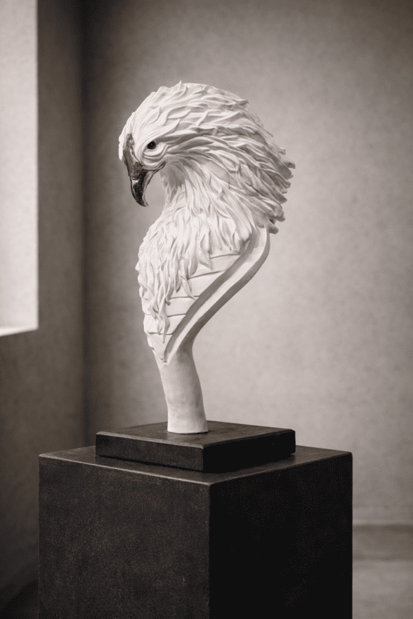 Thomas Nicaise Phoenix 24
