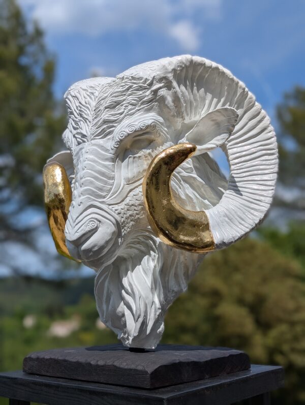 Thomas Nicaise Belier 11