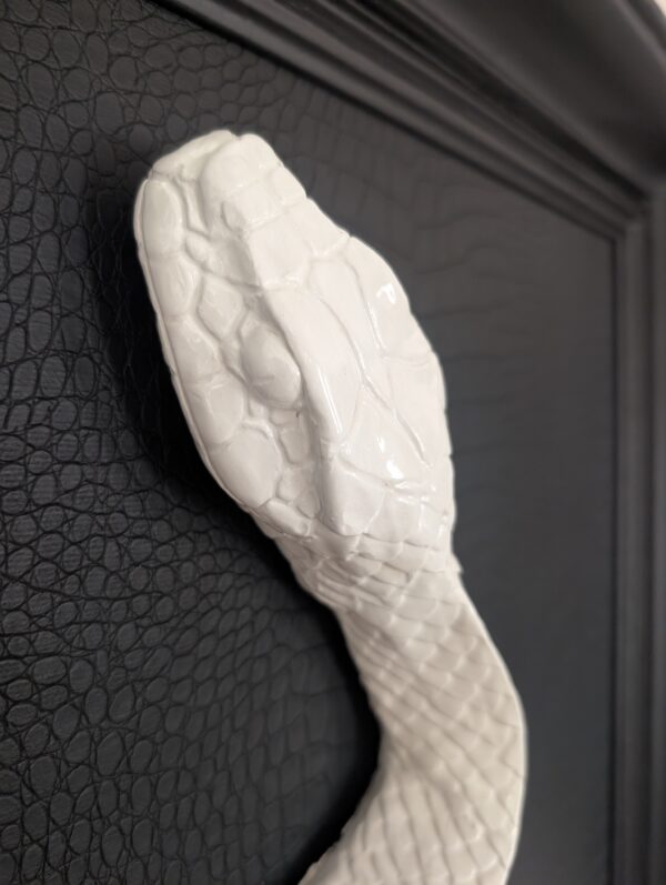 thomas-nicaise-serpent-02